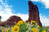 Mules Ears and Courthouse Towers