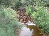 North Creek flash flood 7